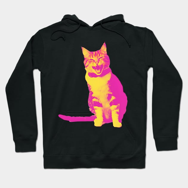 Laughing Cat - Vintage Pink Hoodie by Ravenglow